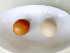 kampung and regular eggs