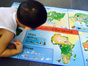 sticker atlas book 2