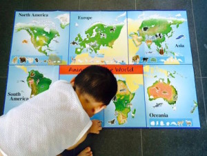 sticker atlas book